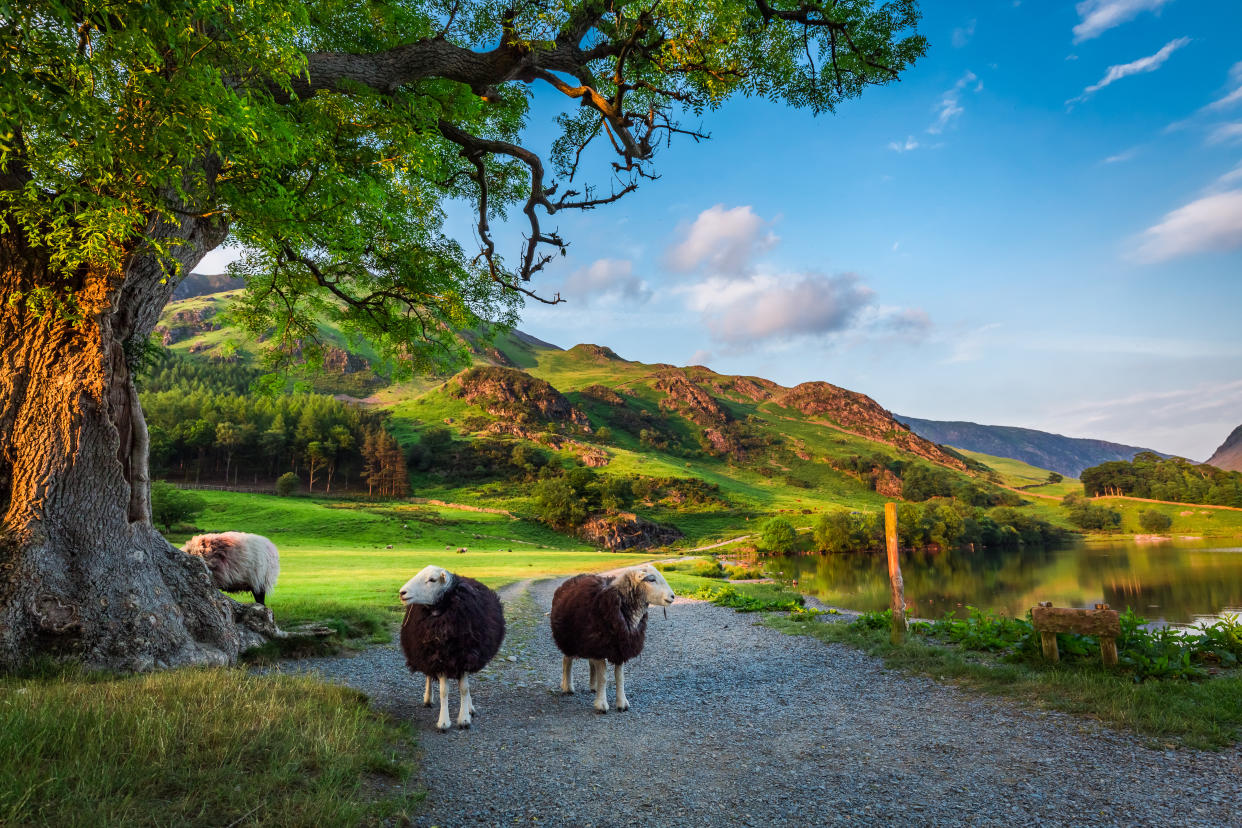 The Lake District, has been voted the world's most Instagrammable natural hotspot. (Supplied Body Shop/shaiith - stock.adobe.com)