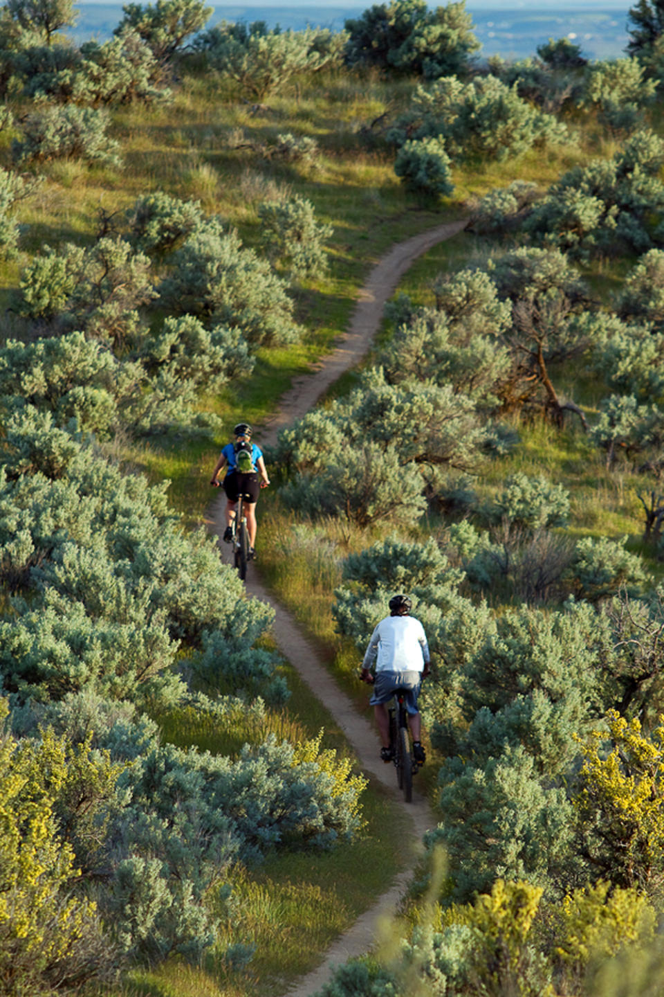 This 2010 photo provided by Boise Parks & Recreation shows bikers on the Polecat Loop in the Ridge to Rivers trail system in Boise, Idaho. The foothills are also a playground for hikers, runners, mountain bikers and bird-watchers. The city manages a network of more than 130 miles (210 kilometers) of trails and numerous access points, some just minutes from downtown. Even a short, moderate hike along any of the trails provides enough elevation to overlook the city, the valley and the Owyhee Mountains across the valley floor. (AP Photo/Boise Parks & Recreation, Aaron Beck)