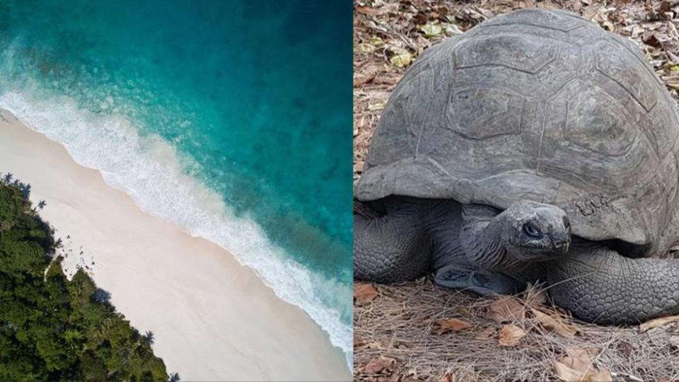 North Island beach and wildlife