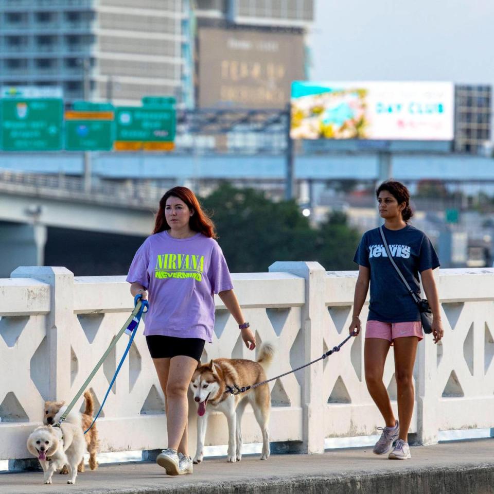 Dos jóvenes pasean a sus perros por la acera del Viaducto Venetian, entre Miami y Miami Beach, en 2021.
