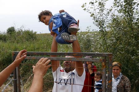 A Syrian migrant lifts a child over a fence on the Hungarian-Serbian border near Asotthalom, Hungary August 25, 2015. REUTERS/Laszlo Balogh