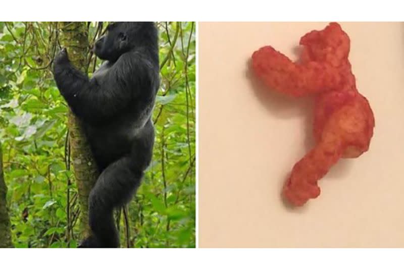 Harambe-Shaped Cheeto: $99,900