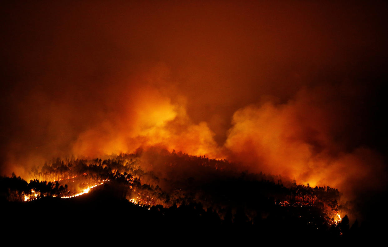 Fires in central Portugal killed more than 60 people and injured hundreds: REUTERS