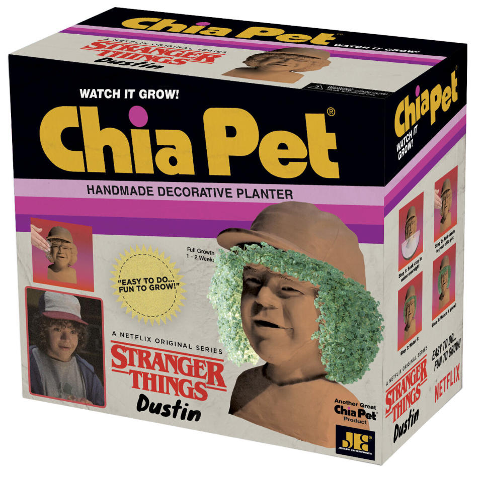 Cha-cha-cha-chia! Help Dustin grow his signature mane in just a few easy steps. <strong><a href="https://fave.co/2KJ2TFh" target="_blank" rel="noopener noreferrer">Grab it from Walmart.</a>&nbsp;</strong>