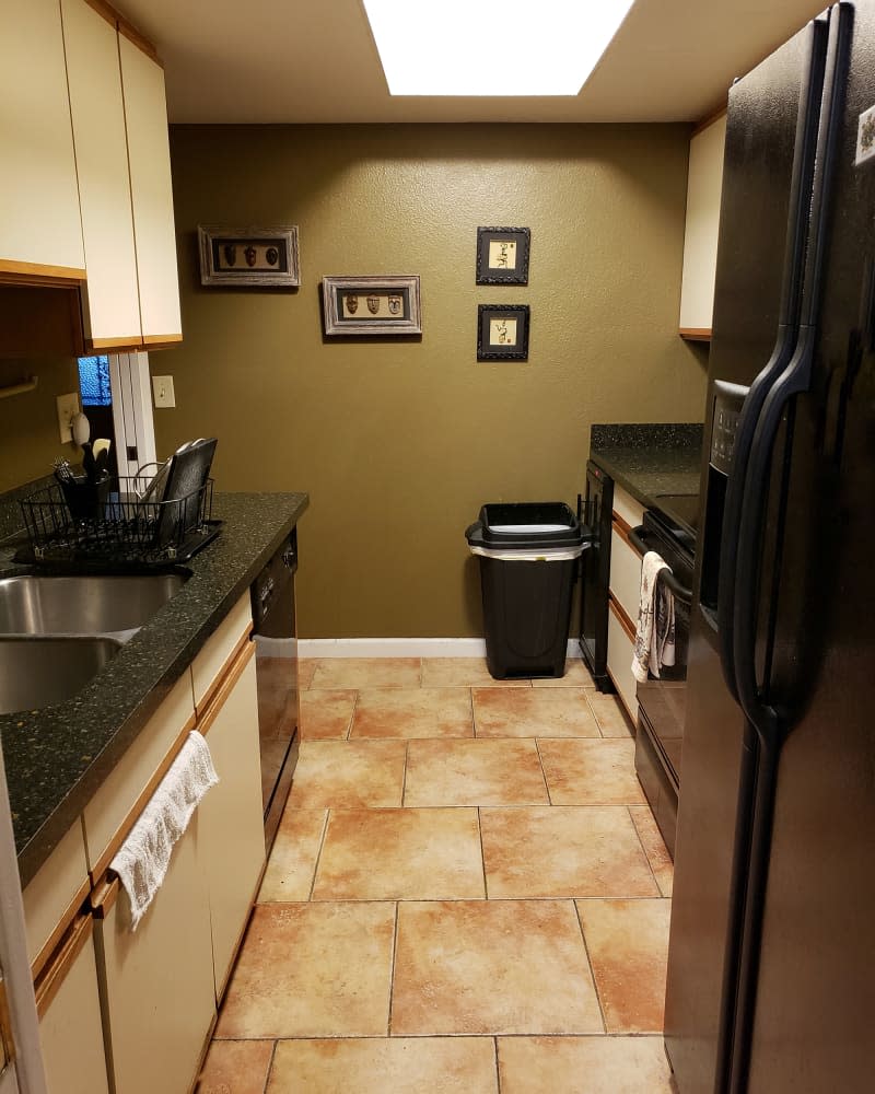 Olive painted walls in kitchen before renovation.