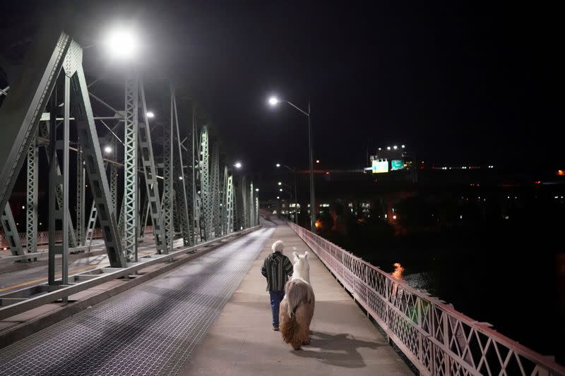 Therapy llama is guided at the site of ongoing protests in Portland