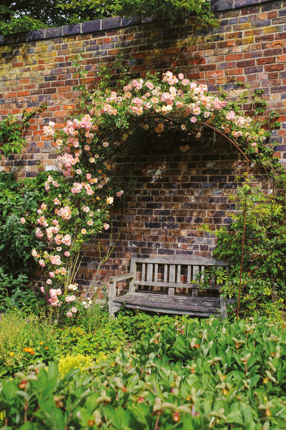 2. Grow a rose garden over a seating area