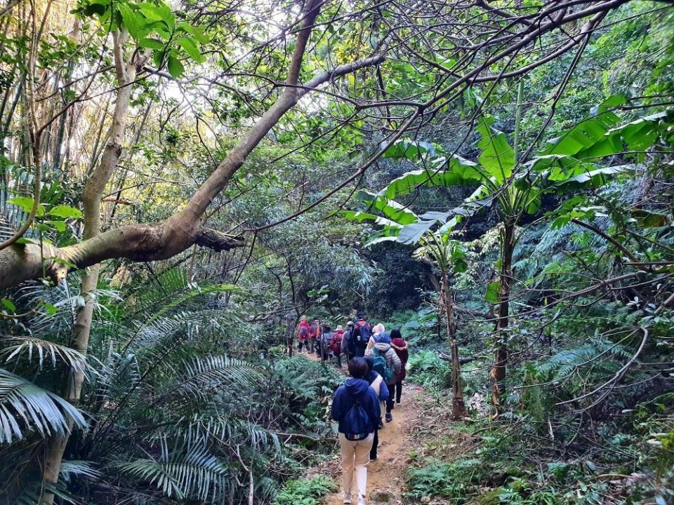 《圖說》民眾行走在微笑山線大縱走旅遊路線大棟山系段。〈觀旅局提供〉