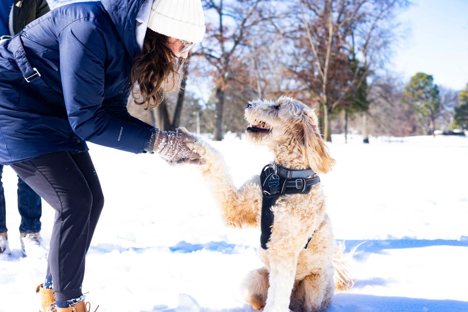 Genevieve Kuhar shakes her Goldendoodle Maggie’s paw on Wednesday at Overton Park in Memphis. The Memphis area received between 3 to 6 inches of snow earlier this week.