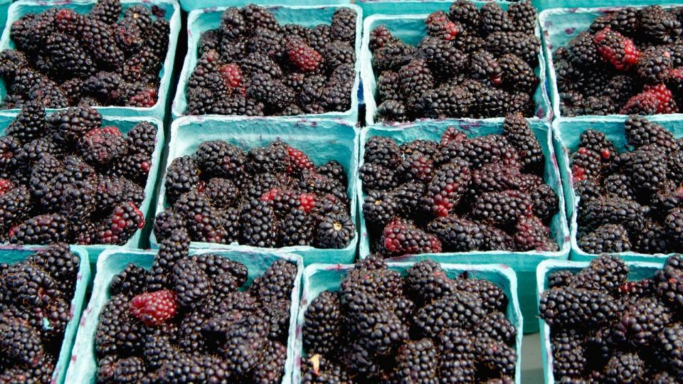 marionberries-blackberries-difference-between-FT-BLOG0617.jpg