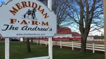 How a horse from P.E.I. found a new home with a boy with autism