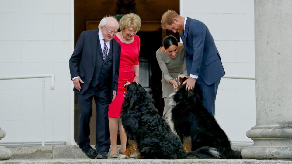Prince Harry and Meghan Markle with the Irish President