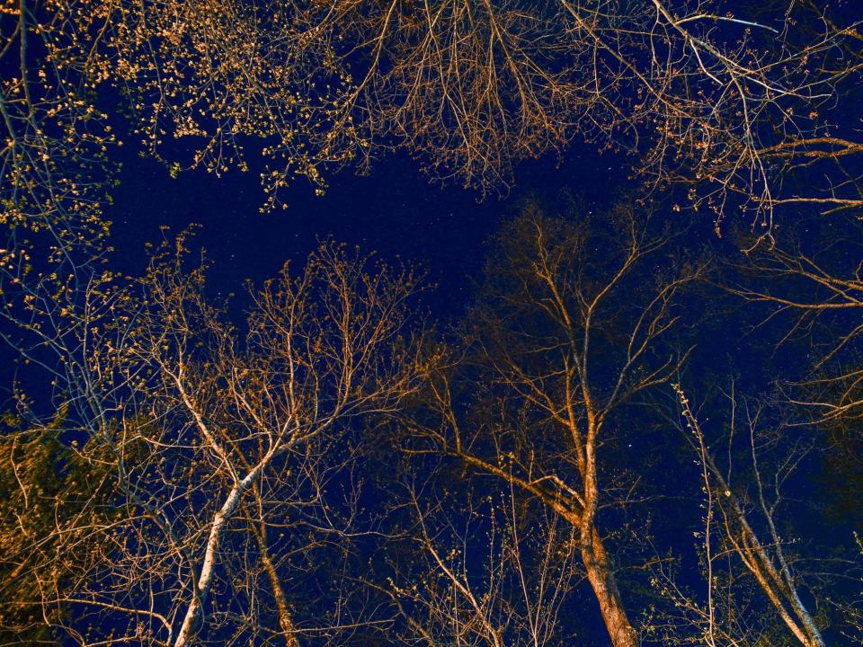 A photo of the Great Smoky Mountains at night shows some stars lighting up the sky.