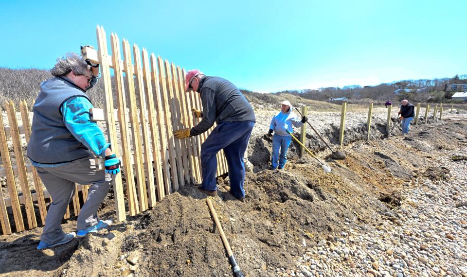 Marykay Fox and Dave O'Malley join other volunteers this week to help with the Wood Neck Beach fence repair in Falmouth.