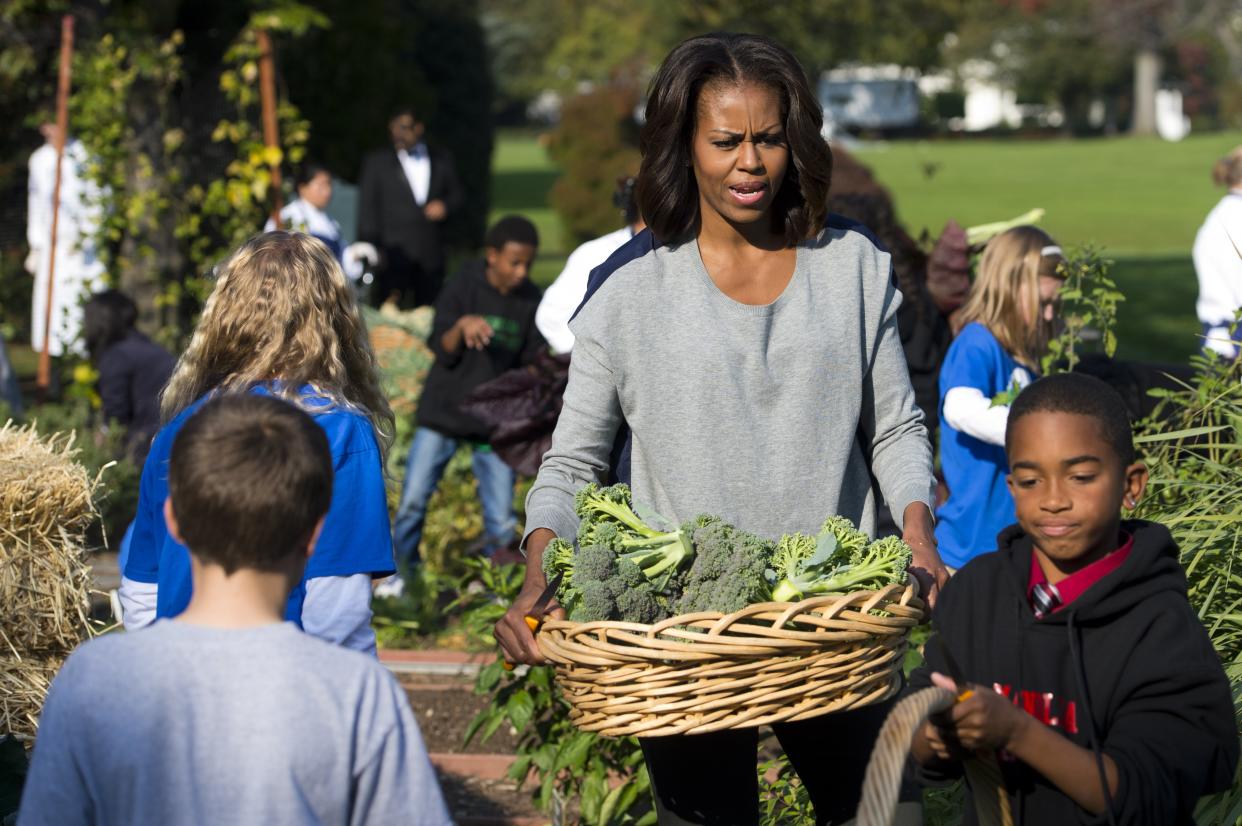 US First Lady Michelle Obama harvests broccoli from the White House Kitchen Garden alongside area school children following an announcement of free licensing of Sesame Street characters to promote and market fresh fruit and vegetables by Produce Marketing Association growers, suppliers and retailers, as part of the Let's Move initiative, at the White House in Washington, DC, October 30, 2013. The agreement utilizes the strength of the Sesame Street brand to help deliver messages about fresh fruits and vegetables and characters such as Elmo and Big Bird may be on produce in stores as early as mid-2014. AFP PHOTO / Saul LOEB        (Photo credit should read SAUL LOEB/AFP via Getty Images)