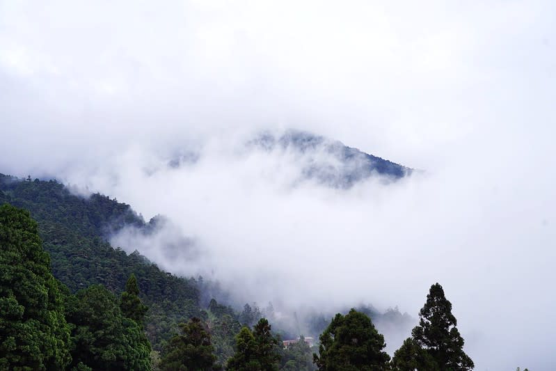 嘉義阿里山｜奮起湖老街