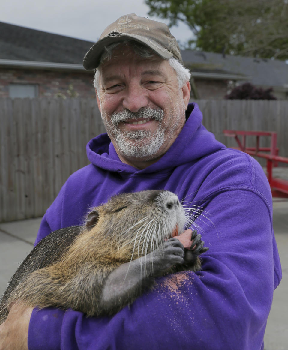 Denny Lacoste holds a rescued baby nutria in Metairie, La. Monday, March 13, 2023. Denny and Myra Lacoste have run afoul of state law by keeping a 22-pound nutria -- a beady-eyed, orange-toothed, rat-tailed rodent commonly considered a wetlands-damaging pest -- as a pet that frolics with their dog, snuggles in their arms and swims in the family pool. (David Grunfeld /The Times-Picayune/The New Orleans Advocate via AP)