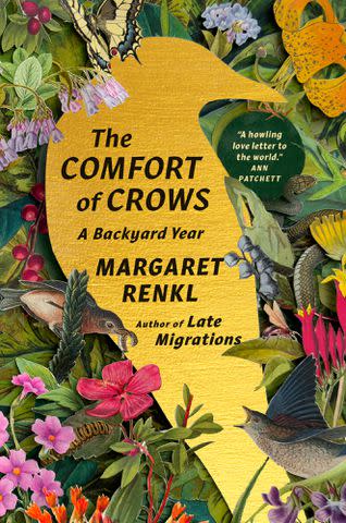 <p>Spiegel & Grau</p> 'The Comfort of Crows' by Margaret Renkl