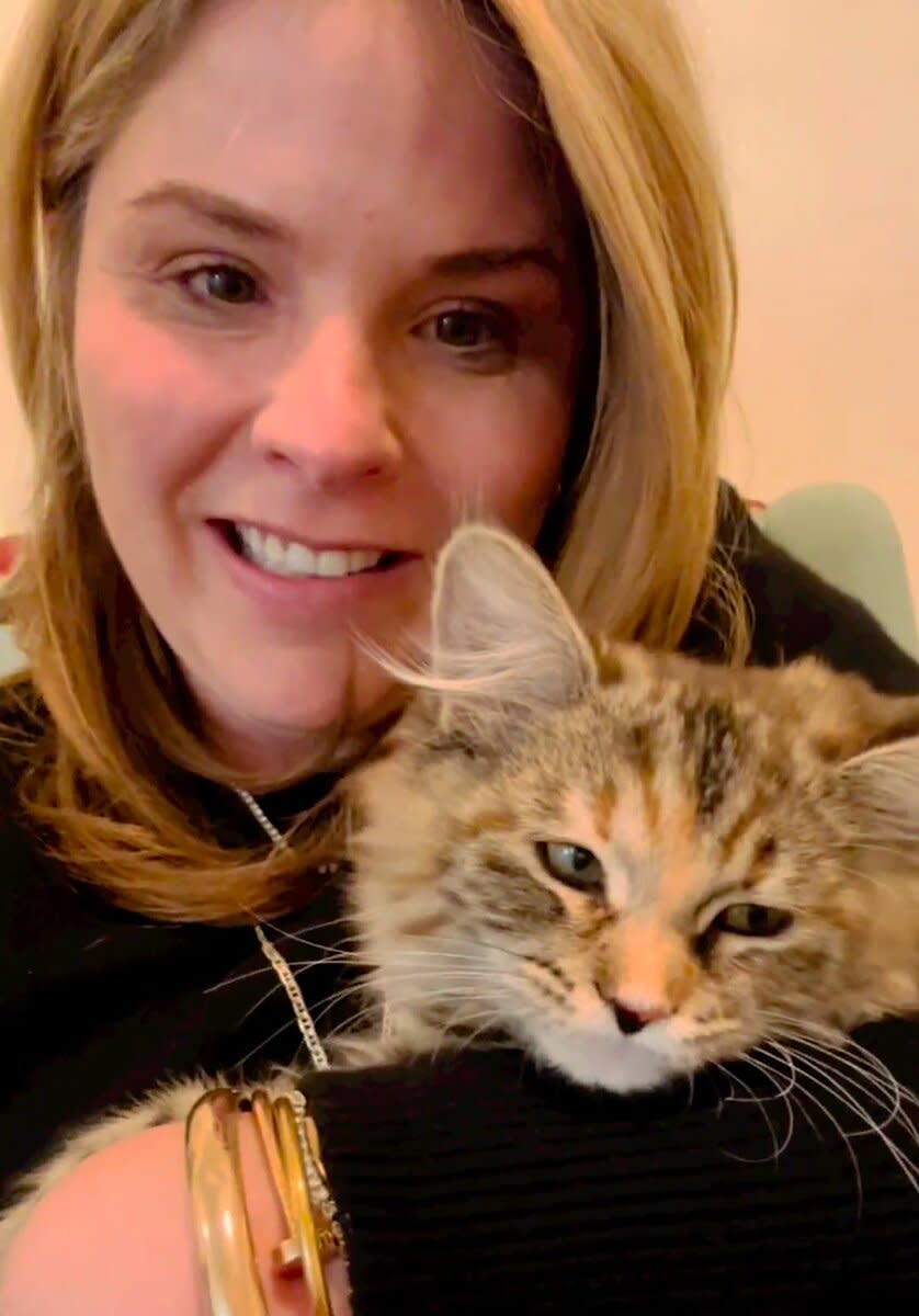 Jenna Bush Hager Debuts New Cat 'Hollywood'