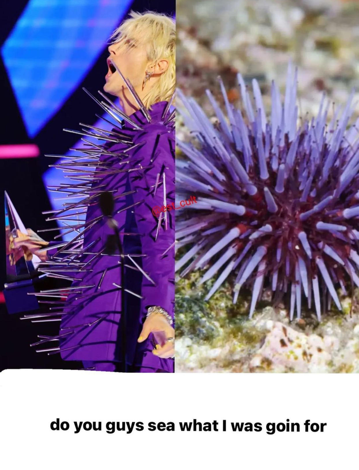 The singer's Instagram story featured his inspiration: a sea urchin. (@machinegunkelly via Instagran)