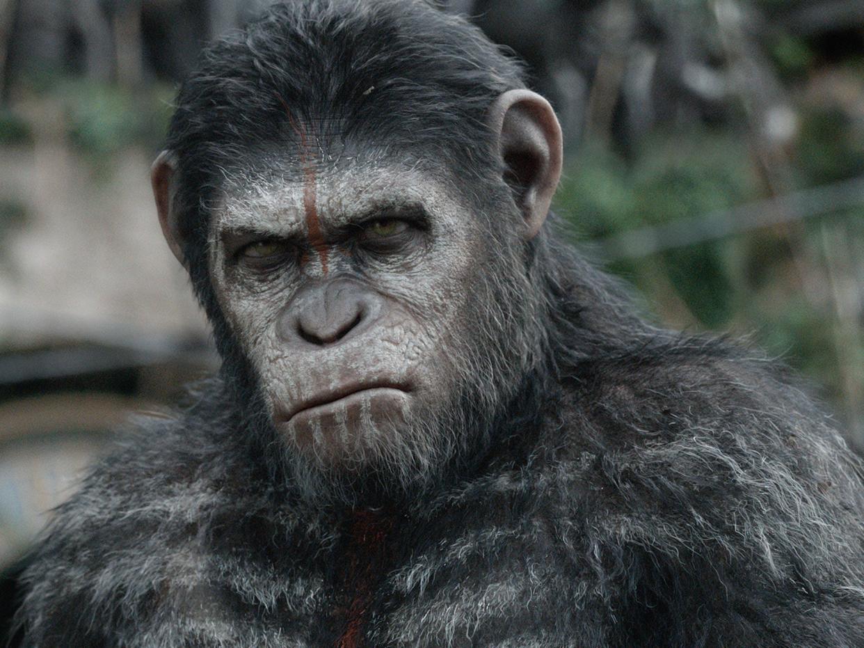 Andy Serkis as Caesar in 'Dawn of the Planet of the Apes'. He used motion capture to create the animal on screen (20th Century Fox): 20th Century Fox