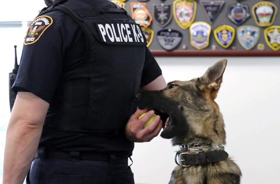 Streetsboro Police Detective Luke Nelson keeps his partner Mika, right, entertained during an interview Tuesday, April 2, 2024, at Streetsboro's police headquarters. At 9 months old, Mika is a newly sworn in K-9 that is still a puppy that loves to play.