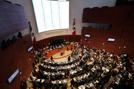 A general view shows the Senate during a session to vote on the creation of a militarized police force, the National Guard, in Mexico City, Mexico February 21, 2019. REUTERS/Violeta Schmidt