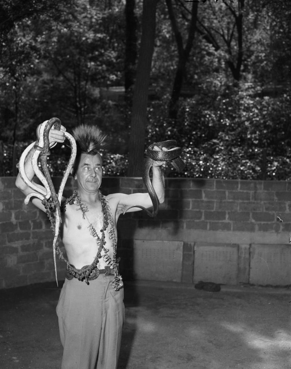 Aug. 21, 1947: “Harry Jackson, supervisor of the Forest Park Zoo reptile garden, wears Hopi regalia, lifts a writhing bundle of snakes skyward and asks for rain -- and got immediate results.”