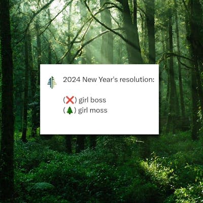 Text saying 2024 New Year's resolution, girl boss, girl moss in front of a green forest