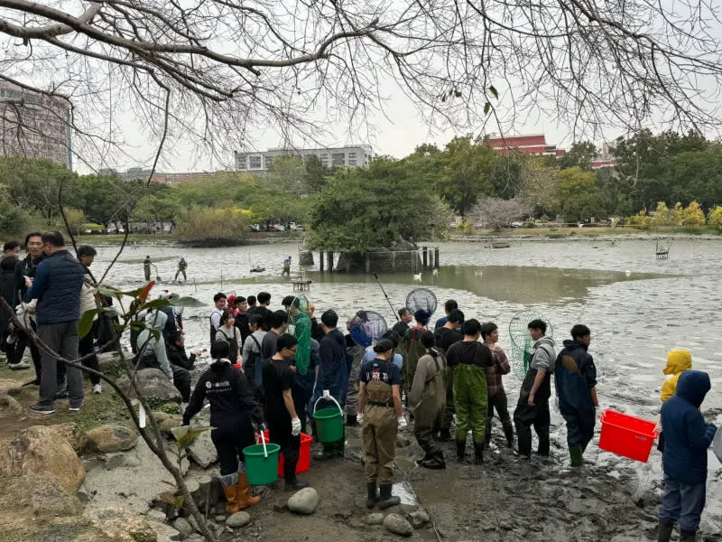 ▲「池水台日隊」動員多達100人。（圖／取自田村淳X）