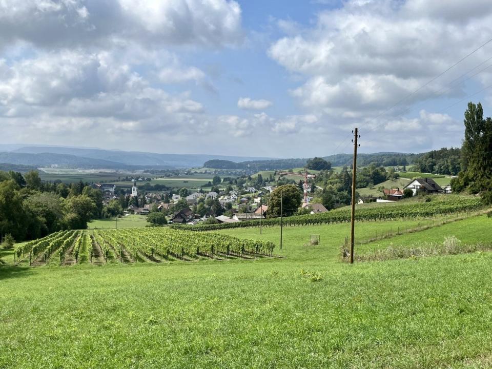 The town of Rafz, Switzerland as seen from a high point on a hill on Aug 29, 2022. The author's 10th-generation ancestor left Rafz for the British colony of Pennsylvania in 1743. The countryside bears a striking resemblance to South Central Pennsylvania.