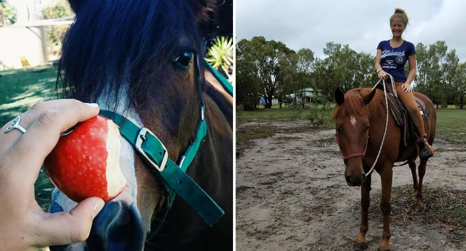 Horses on the Sunshine Coast that were freed as bushfire forced owners to evacuate.