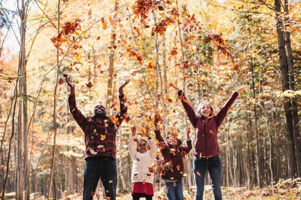 A Fall Foliage Train Ride Needs to Be on the Top of Your Bucket List This Autumn