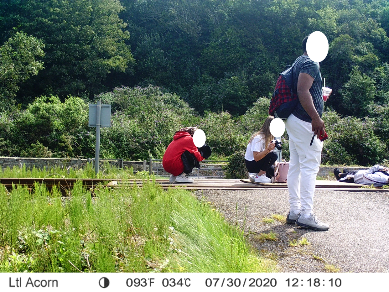 A person can be seen lying down on the tracks. (Network Rail)