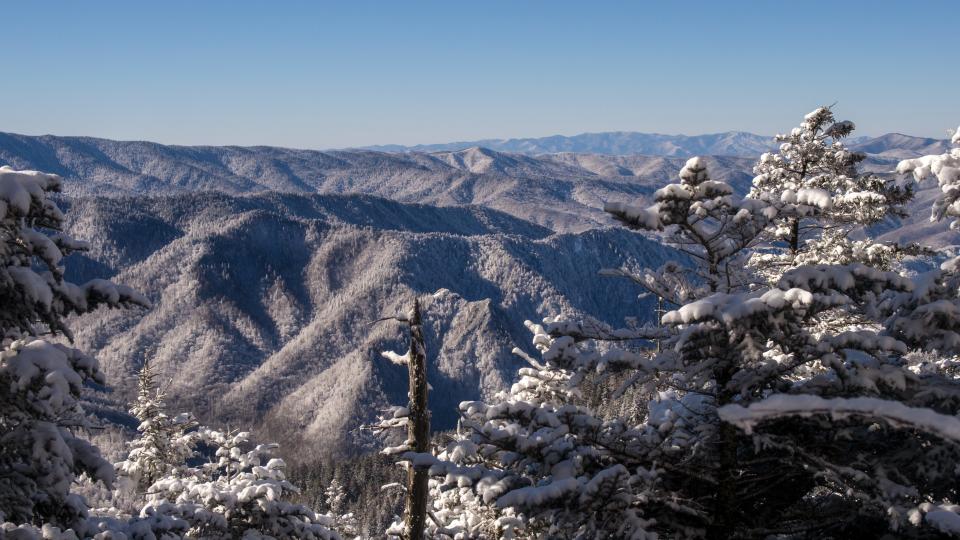 The first Christmas Bird Count in Great Smoky Mountains National Park was held in 1935. This season, several counts will include areas of Western North Carolina and East Tennessee, and two will take place within the national park on Jan. 1 and 5, 2024.