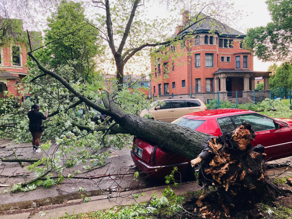 A tree covers three cars parked on Greenwood Avenue in the North Kenwood neighborhood on Chicago's South Side on Monday, June 13, 2022. A supercell thunderstorm with winds in excess of 80 mph (129 kph) toppled trees and damaged power lines Monday evening as it left a trail of damage across the Chicago area and into northwestern Indiana, the National Weather Service said. (Rochell Sleets/Chicago Tribune via AP)