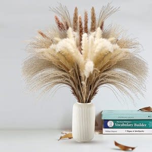 dried pampas grass