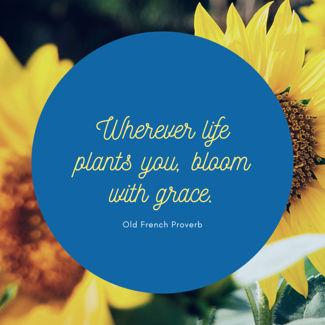 sunflower life quotes