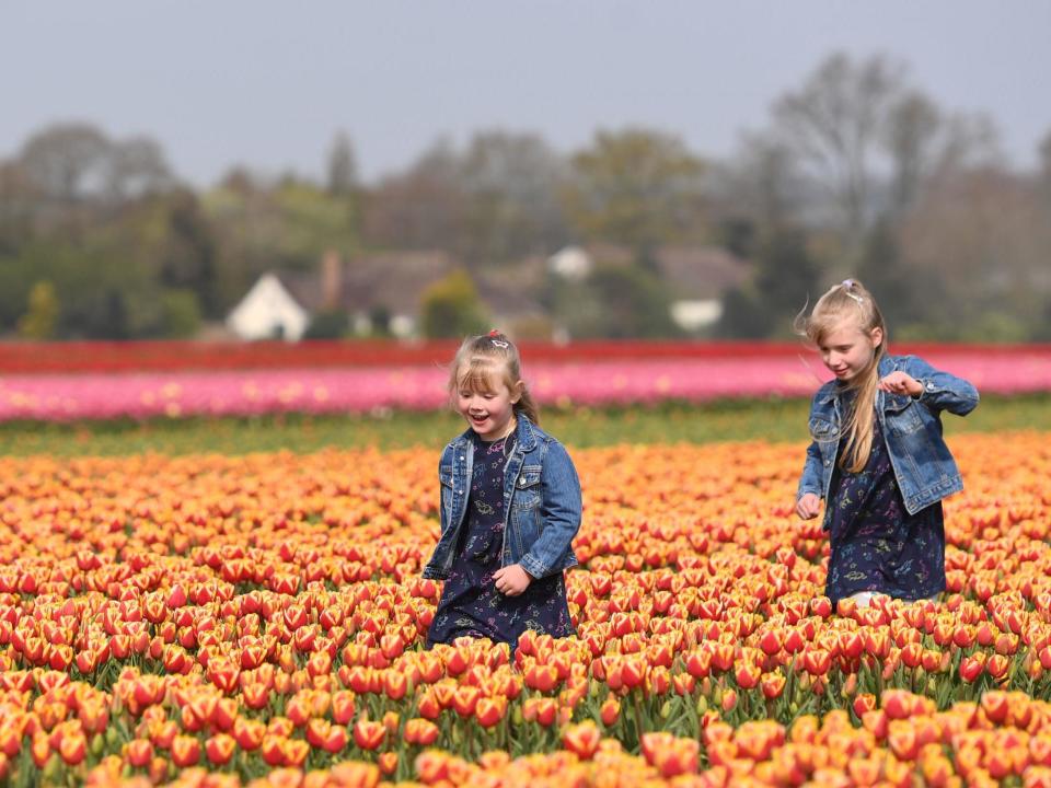 UK weather forecast: Easter weekend to be hotter than Canary Islands with highs of 24C