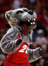 PORTLAND, OR - MARCH 17: The New Mexico Lobos mascot performs on the court as the Lobos take on the Louisville Cardinals during the third round of the 2012 NCAA Men's Basketball Tournament at the Rose Garden Arena on March 17, 2012 in Portland, Oregon. (Photo by Jonathan Ferrey/Getty Images)