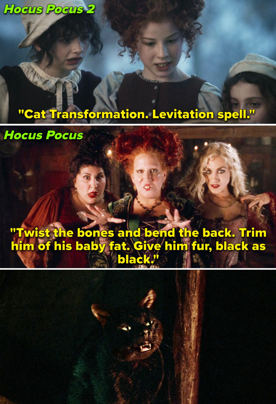 In Hocus Pocus 2, the spell reads, "Twist the bones and bend the back; trim him of his baby fat; give him fur, black as black," and a black cat appears below