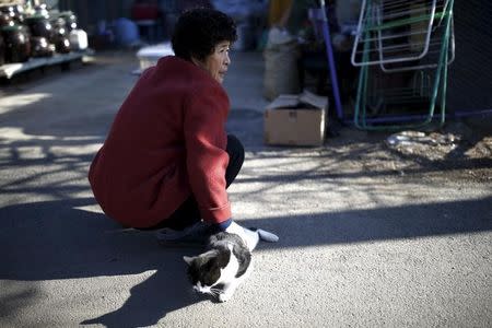 A woman pats her cat at a border village just south of the demilitarized zone where loudspeakers are installed, in Yeoncheon, South Korea, January 8, 2016. REUTERS/Kim Hong-Ji