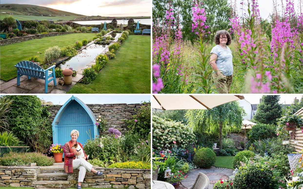 Readers can vote for the People's Choice Award winner three categories: small space, wildlife friendly and challenging plot - BBC Gardener's World Magazine