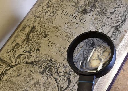 A magazine employee holds a magnifying glass to assist viewing an image of playwright William Shakespeare from a first edition of "The Herball" a sixteenth century book on plants at an office in London, Britain May 19, 2015. REUTERS/Toby Melville