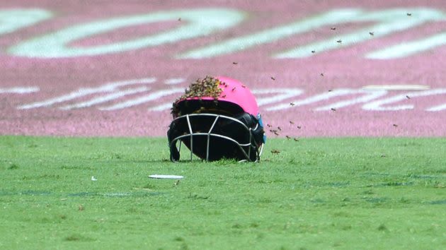 The bees swarm on top of a helmet. Image: Getty