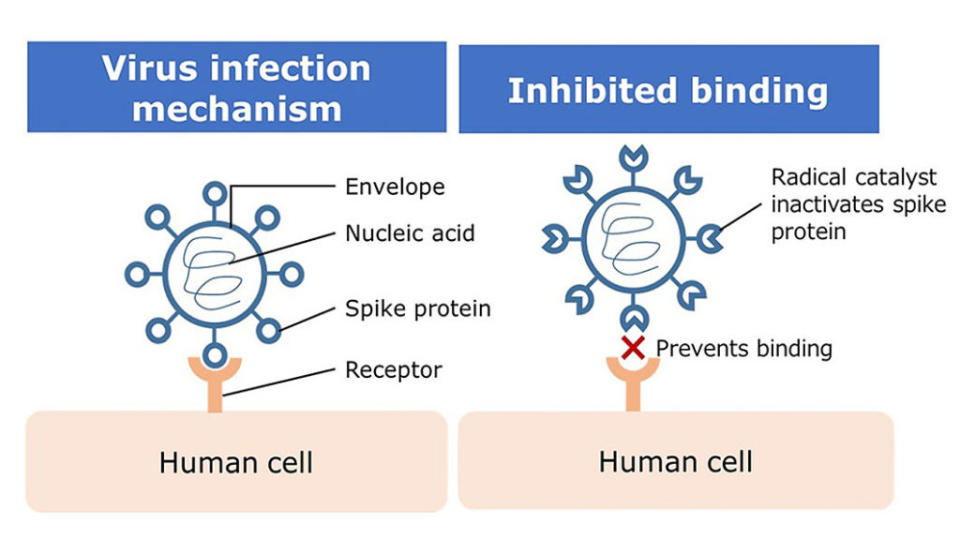 透過觸媒讓病毒失去活性，不再具備繁殖與感染的能力。(圖片來源/ Nissan)