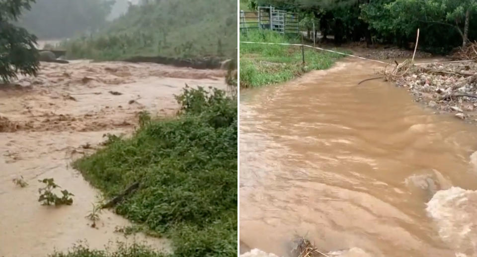 The animal sanctuary was completely inundated earlier this year. Source: The Owl & The PussyCat Farm Animal Sanctuary
