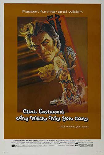 Any Which Way You Can Poster Movie (27 x 40 Inches - 69cm x 102cm) (1980)