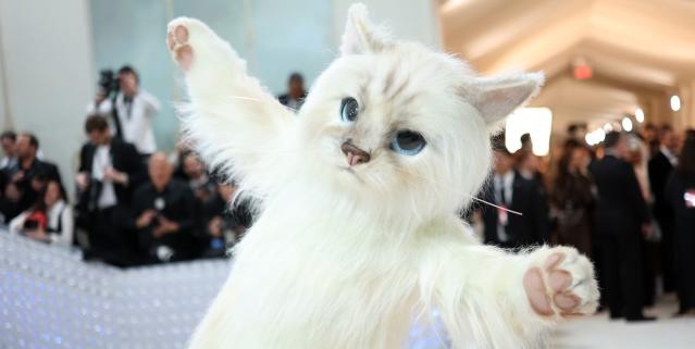 Here's Why So Many Celebrities Dressed Up Like a Cat for the Met Gala –  SheKnows