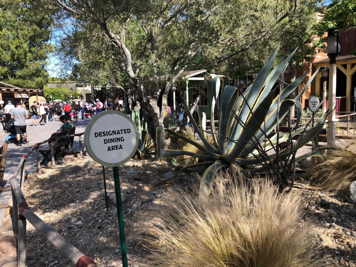 A designated dining area at a theme park